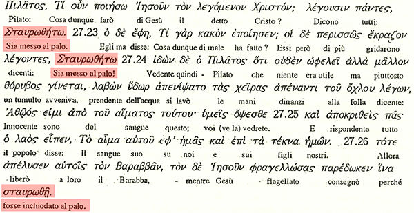 palo0-600
