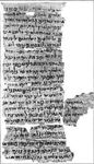 papiro-di-nash-150