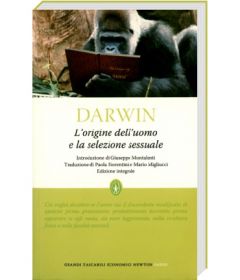 dawinorigineuomo430