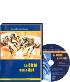 la-citta-delle-api-430